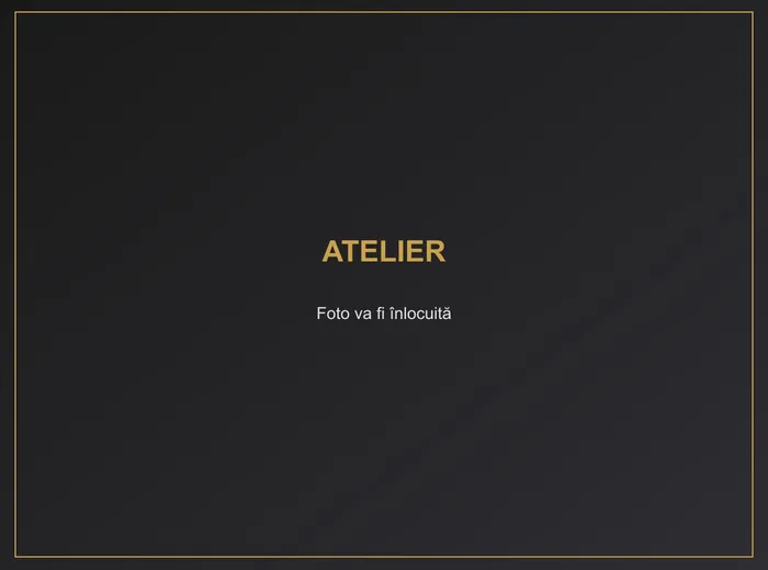 Atelier Folie Auto Tecuci